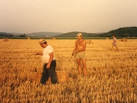 1982-IMG_6615.jpg