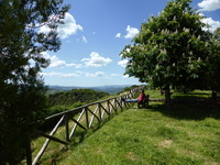 2010-P1000522-s.jpg